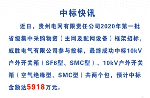 威勝電氣中標(biāo)貴州電網(wǎng)5918萬(wàn)元